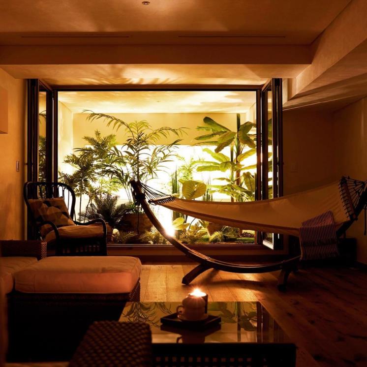 면역공방 블랙점 기사 사진