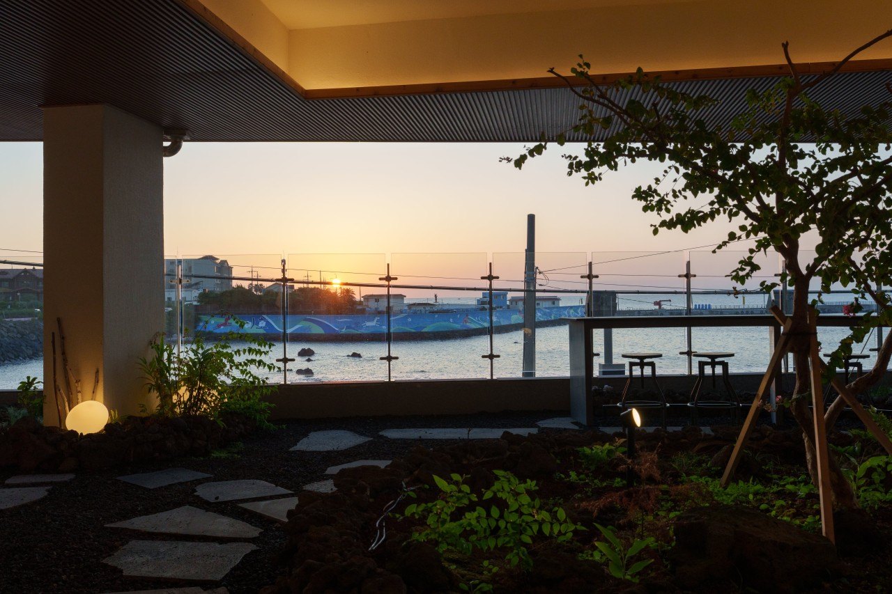 면역공방 제주공항점 선셋 공개 사진